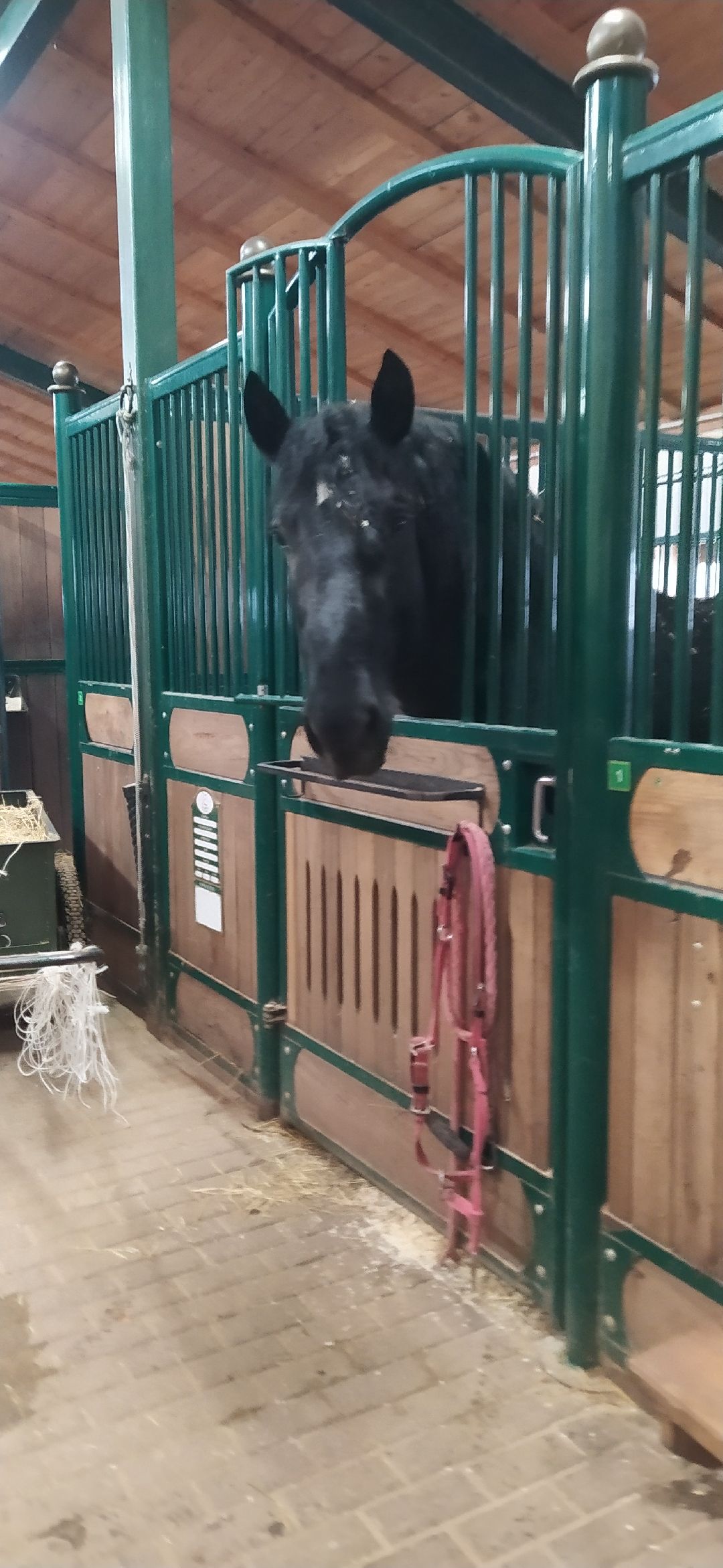 Щёлково, активное долголетие