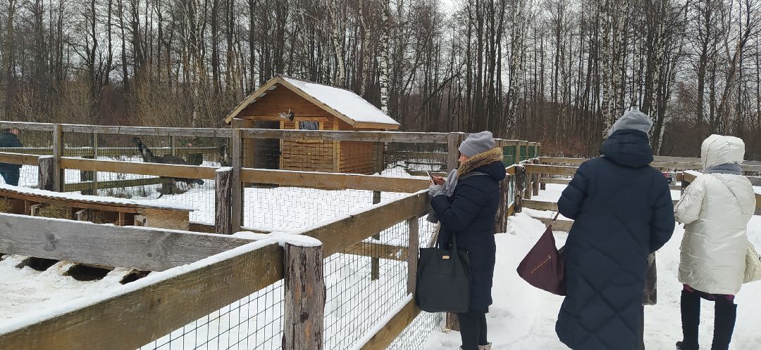 Щёлково, активное долголетие