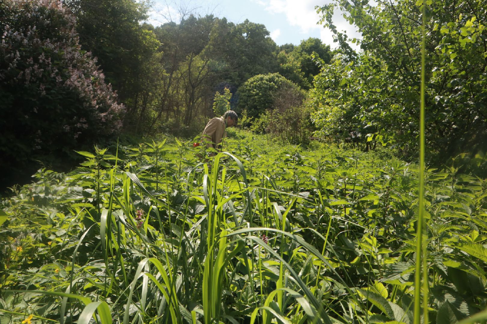 Пущино, благоустройство