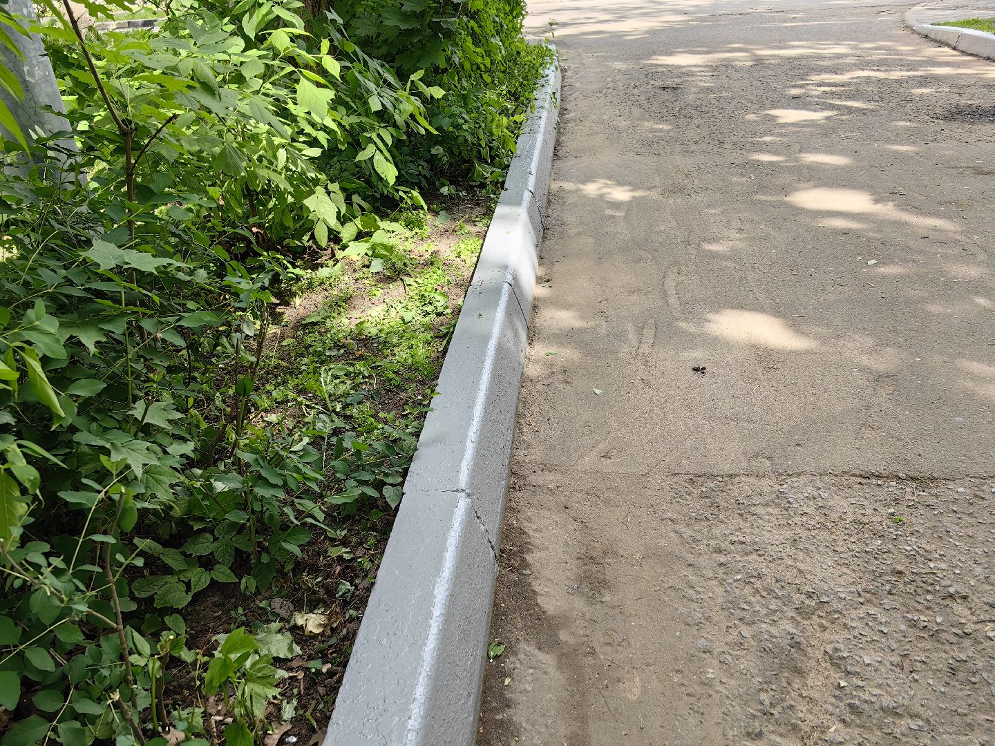 Бордюр, покраска, благоустройство