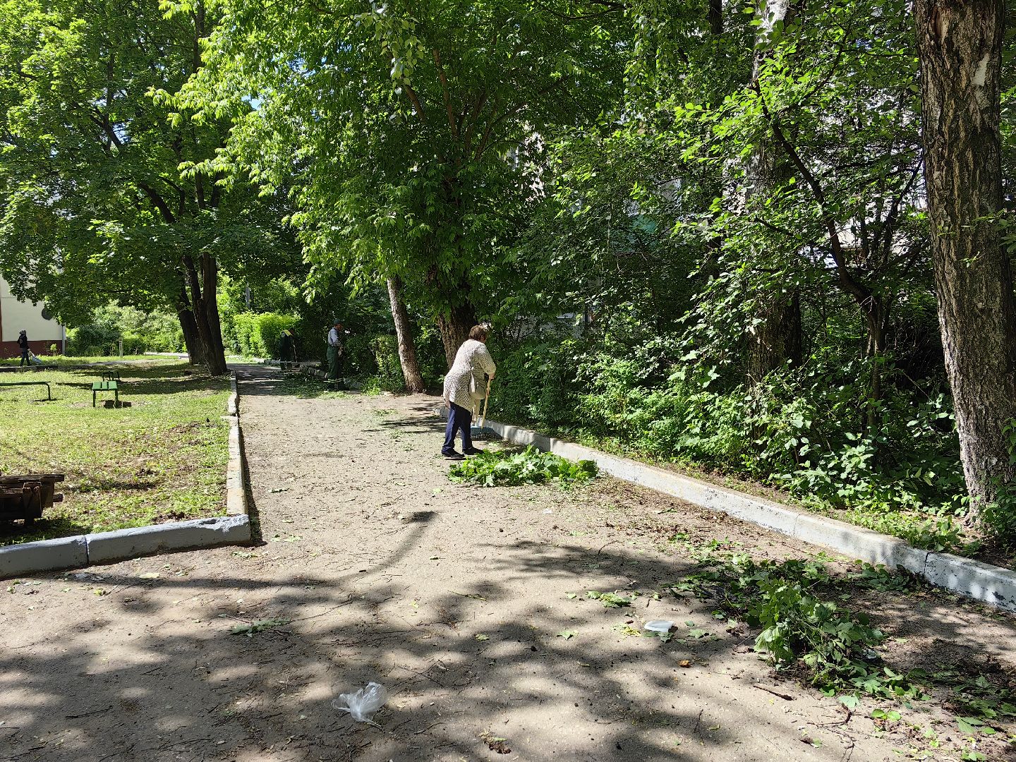 Кустарники, форма, благоустройство