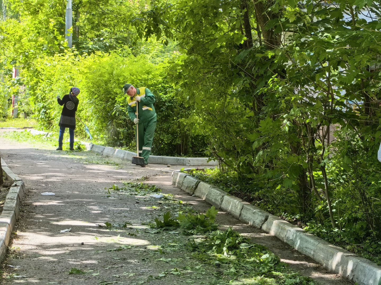 Кустарники, форма, благоустройство