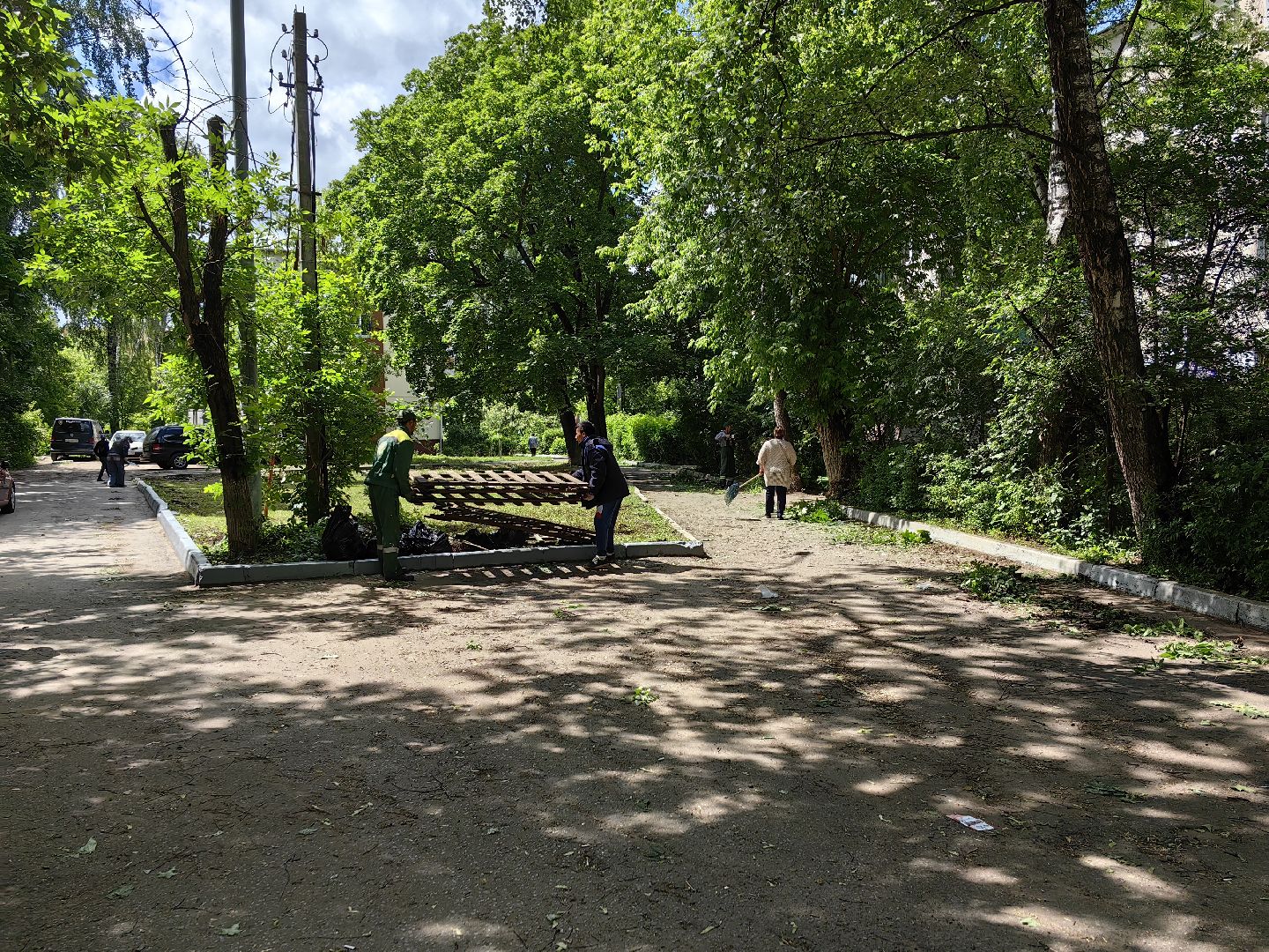 Кустарники, форма, благоустройство