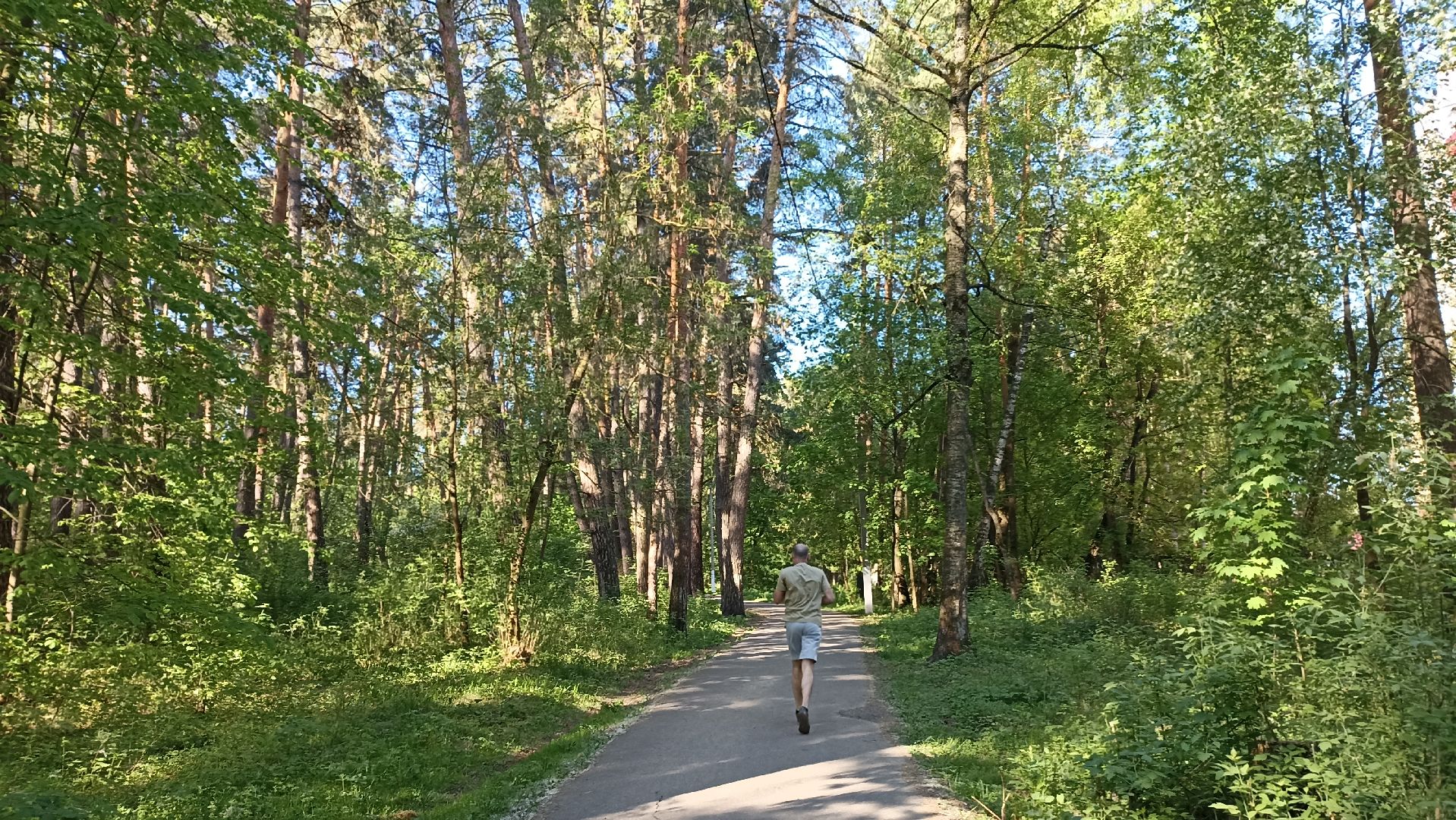 Серпухов, Подмосковье, стадион, бег, тренажеры, спорт, реконструкция