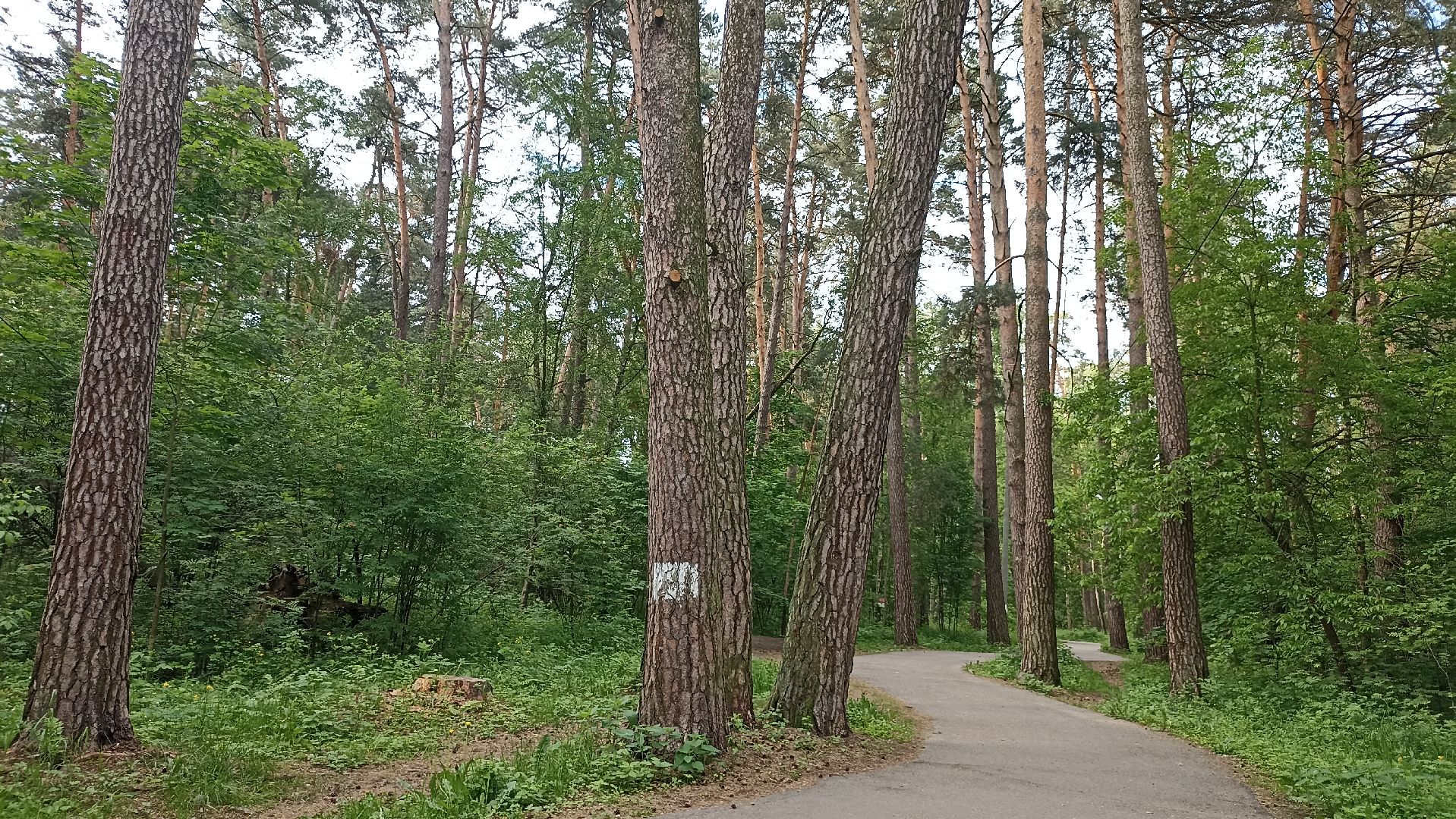 Серпухов, Подмосковье, стадион, бег, тренажеры, спорт, реконструкция