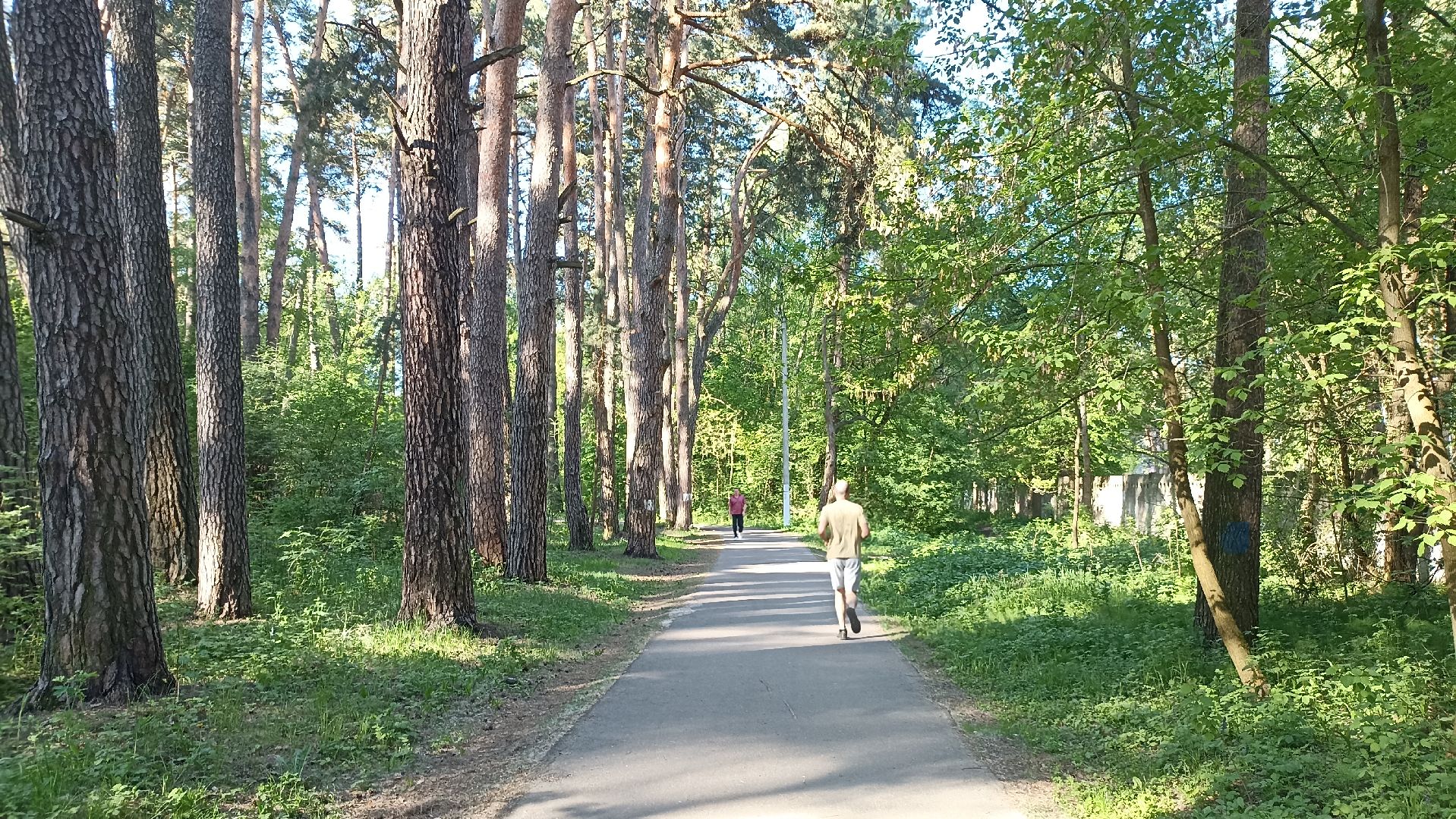 Серпухов, Подмосковье, стадион, бег, тренажеры, спорт, реконструкция