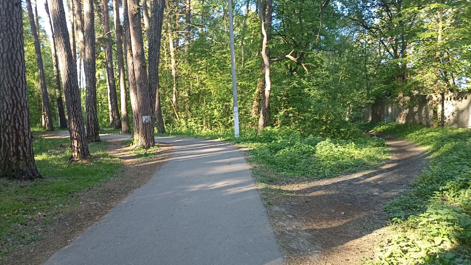 Серпухов, Подмосковье, стадион, бег, тренажеры, спорт, реконструкция