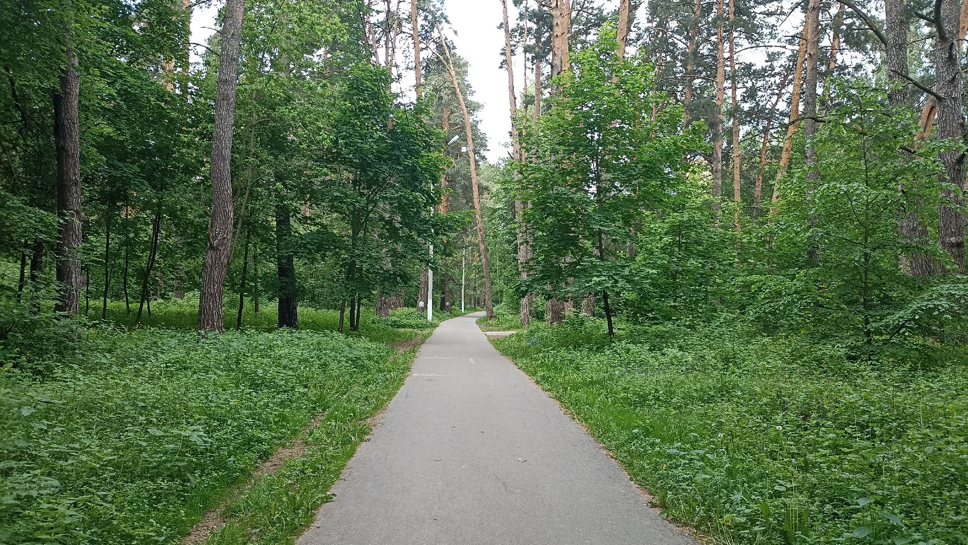 Серпухов, Подмосковье, стадион, бег, тренажеры, спорт, реконструкция