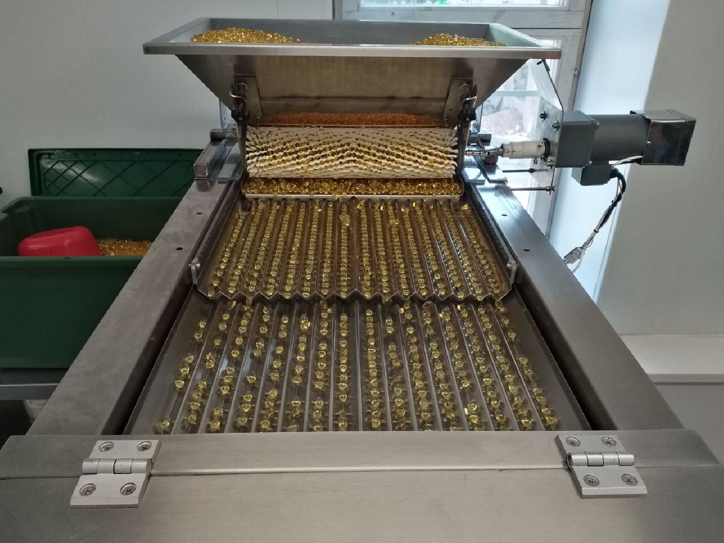 производство, пищевые добавки, лето, Лосино-Петровский