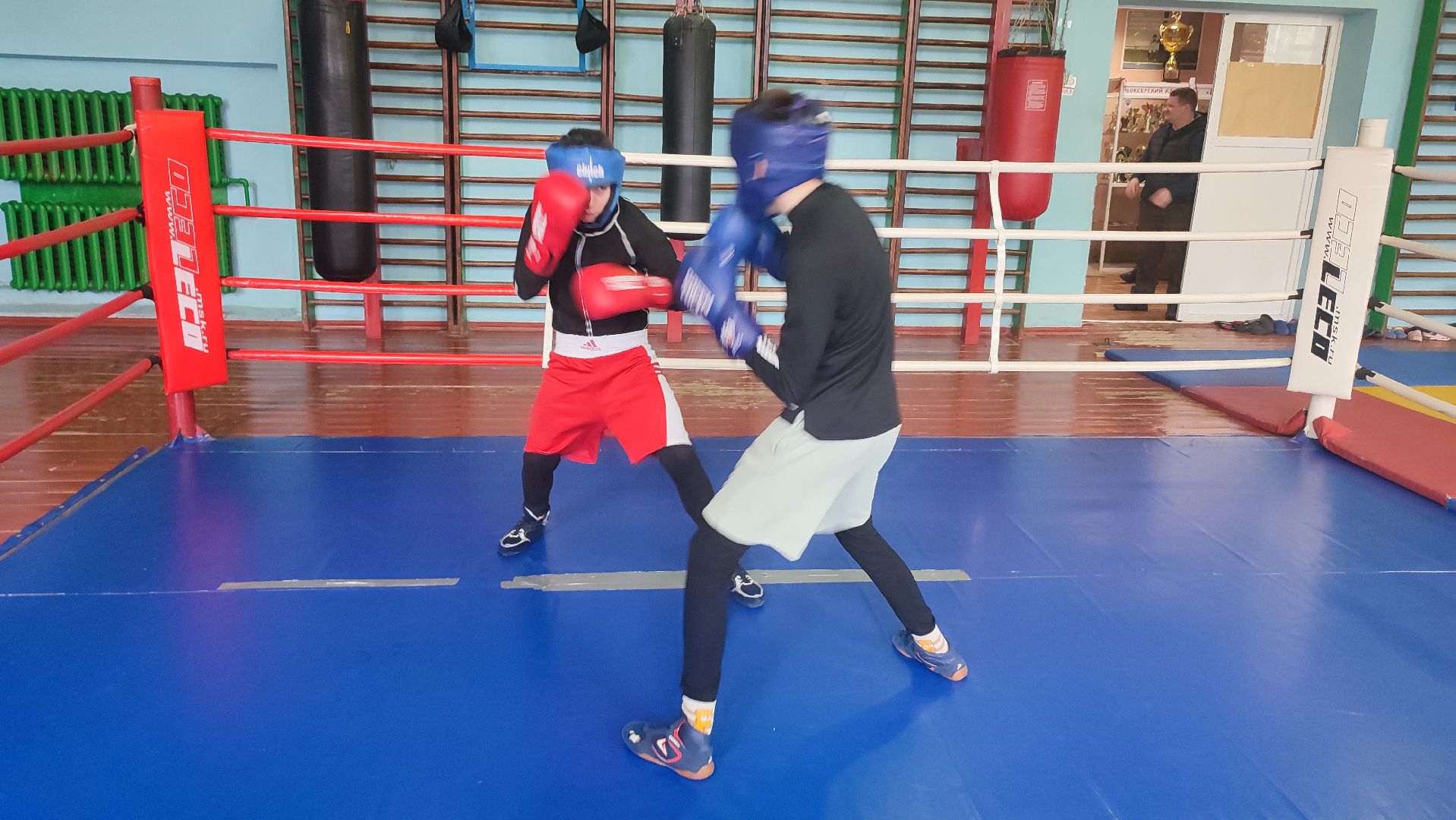 Кашира, Ожерелье, бокс, Русич, соревнования, первенство