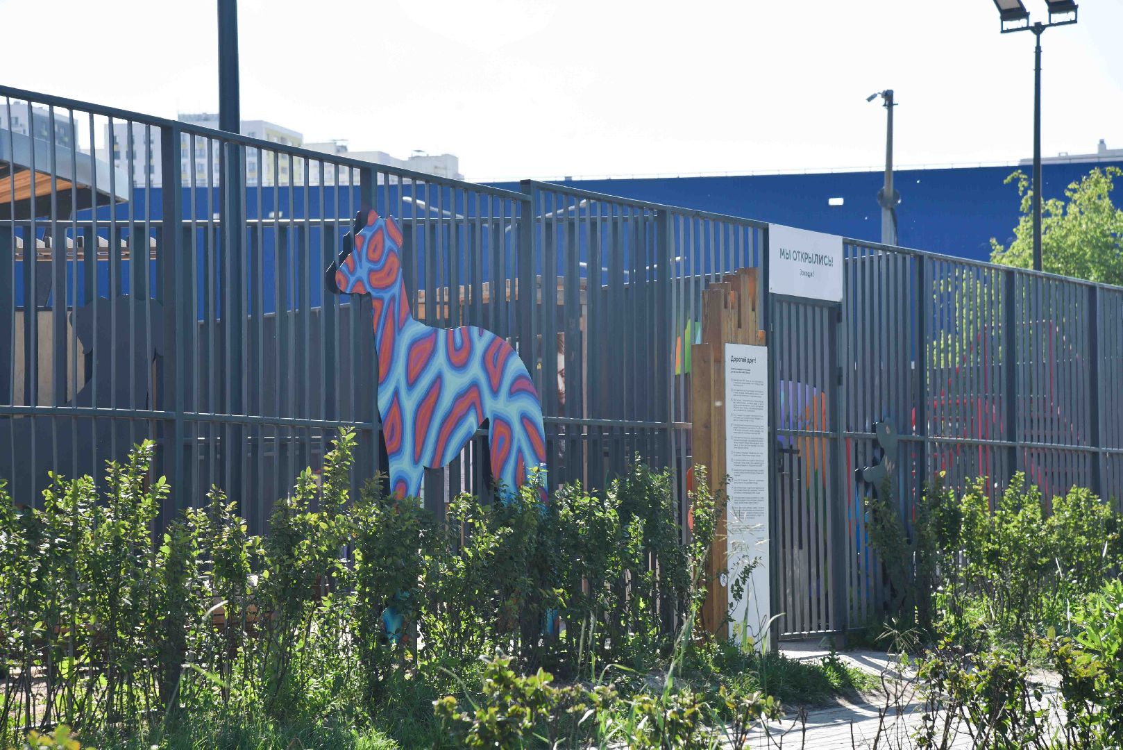 Химки, собаки, граффити