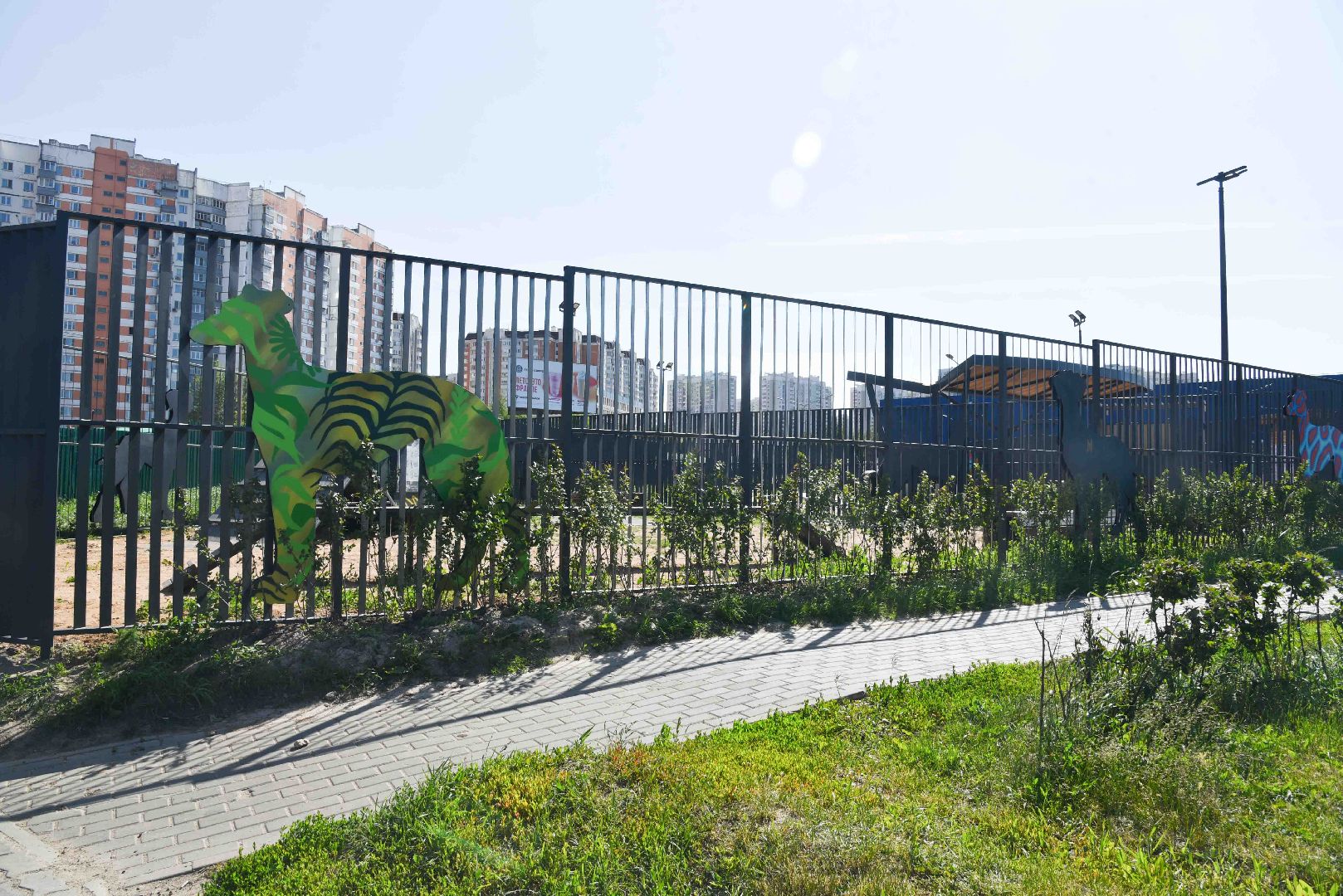 Химки, собаки, граффити