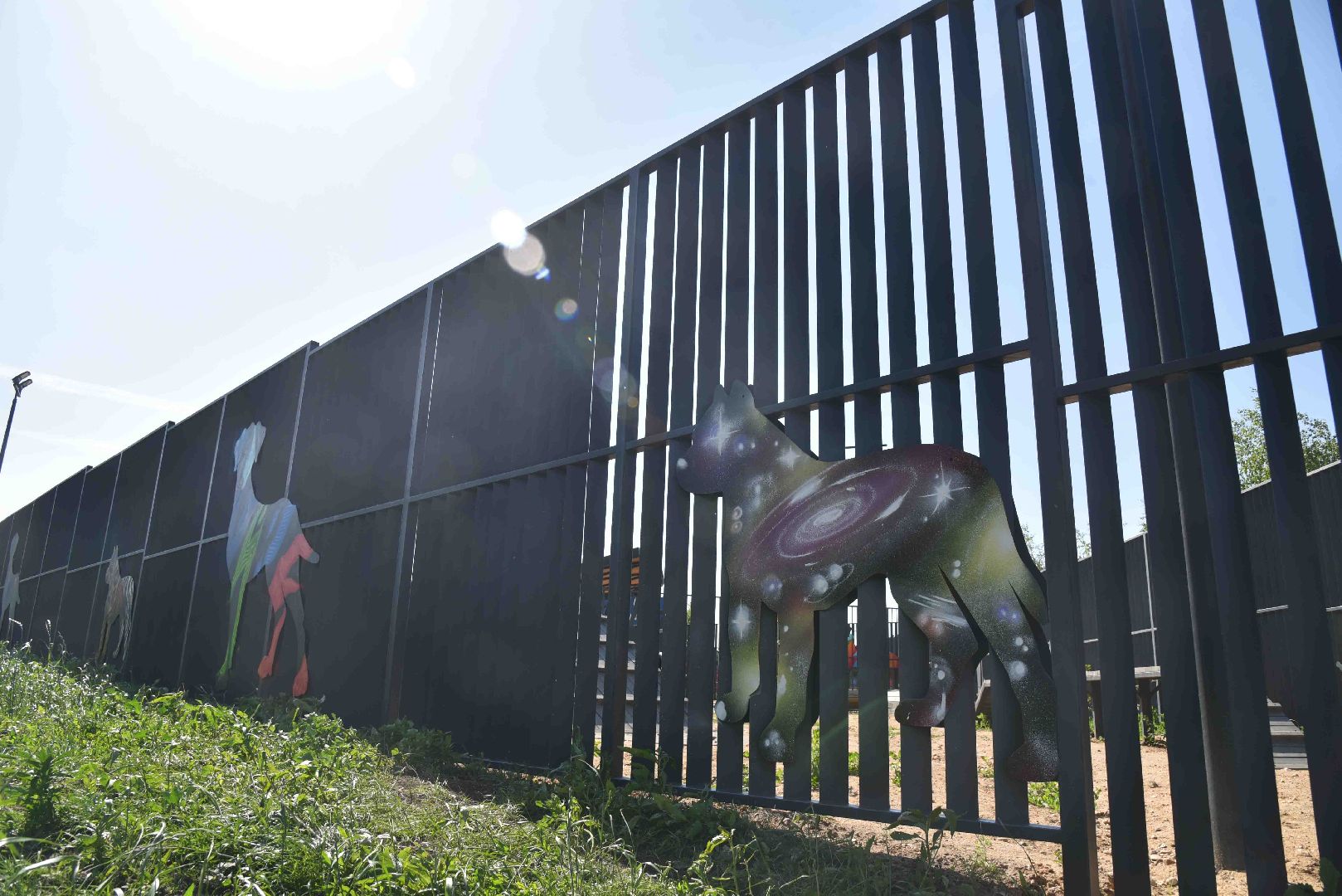 Химки, собаки, граффити