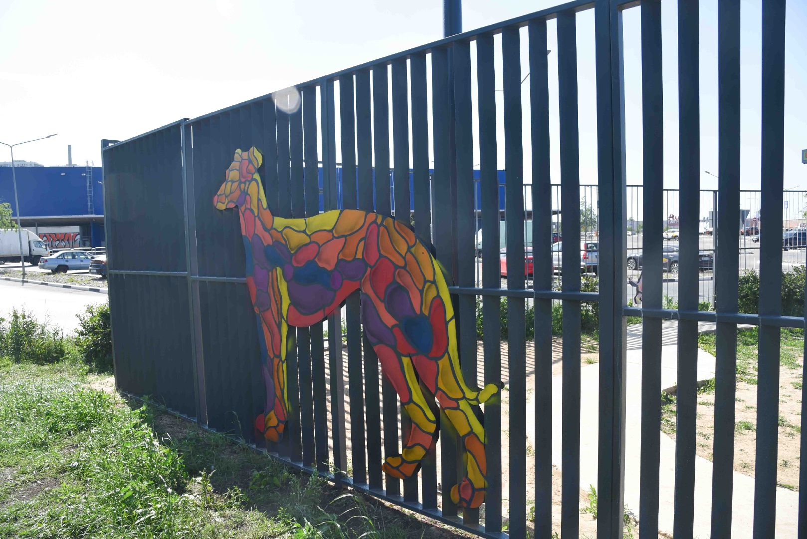 Химки, собаки, граффити