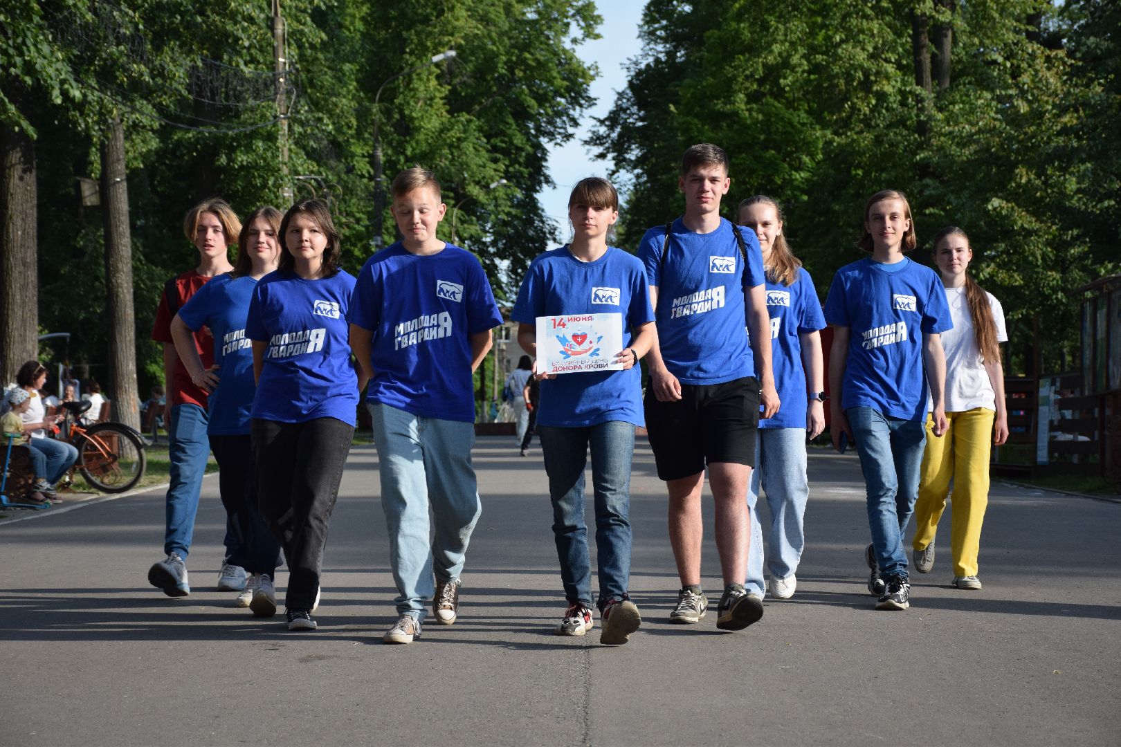 Павловский Посад, городской округ Павловский Посад, День донора, медицина, опрос