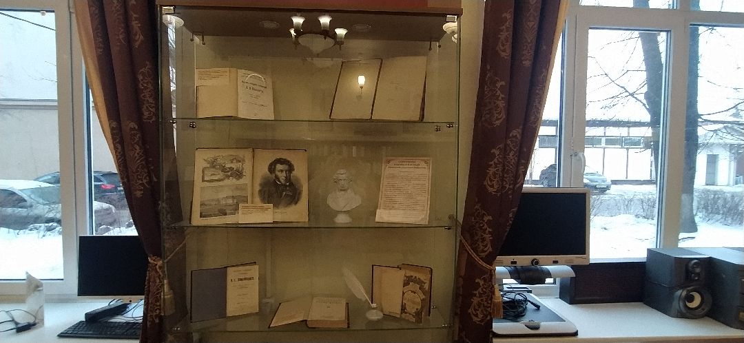 Щёлково, общество