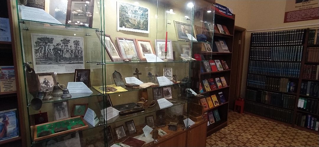 Щёлково, общество