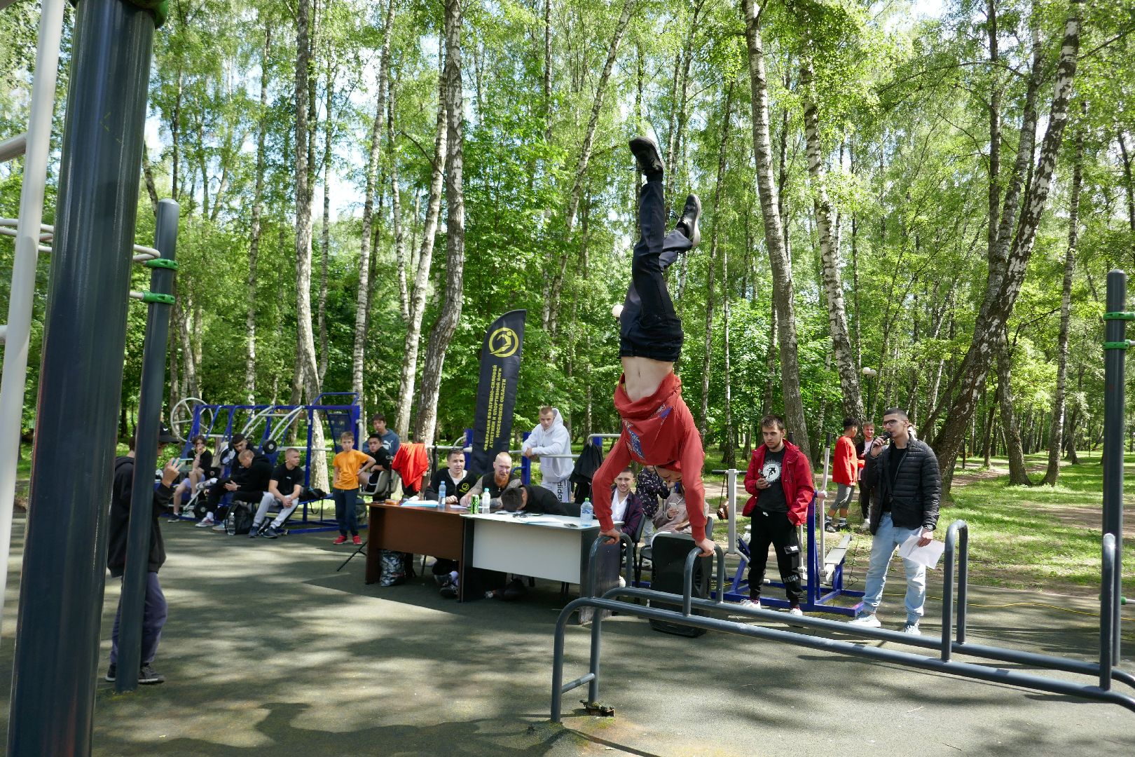 Подольск, спорт, воздушно-силовая атлетика, воркаут, субкультура