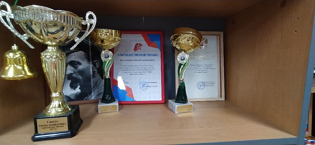 Щёлково, общество