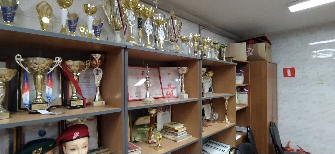 Щёлково, общество