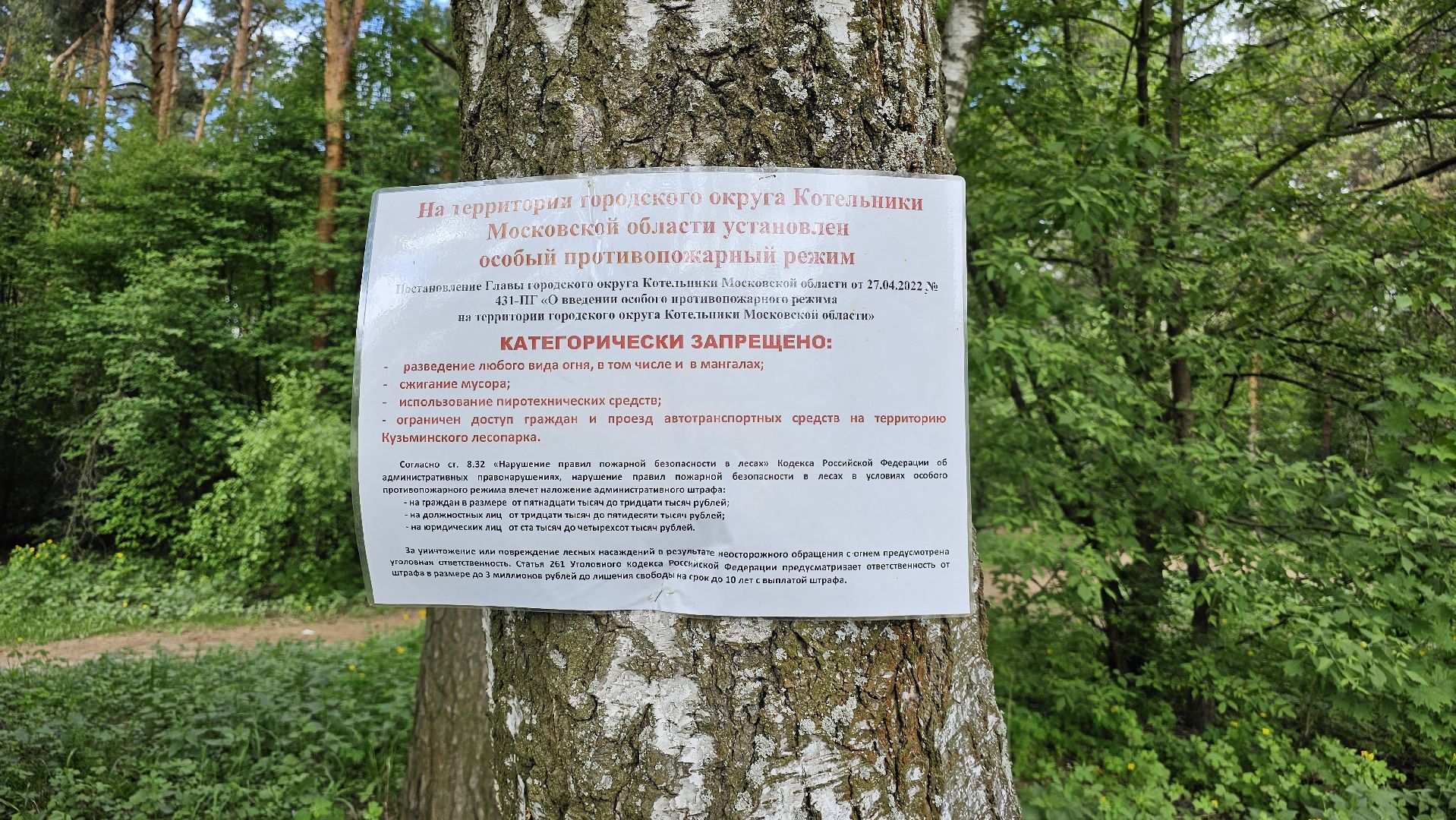 противопожарный рейд, Мособллес, штрафы, Котельники