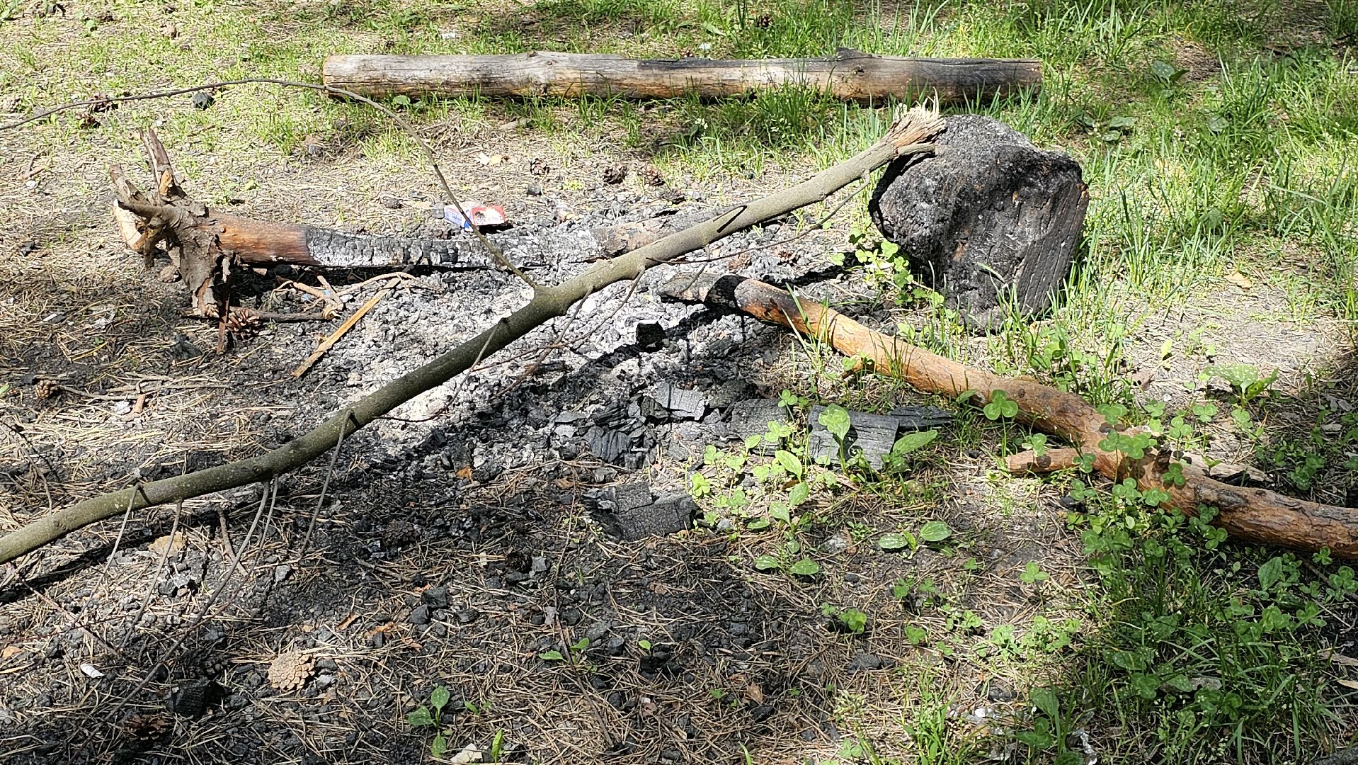 противопожарный рейд, Мособллес, штрафы, Котельники