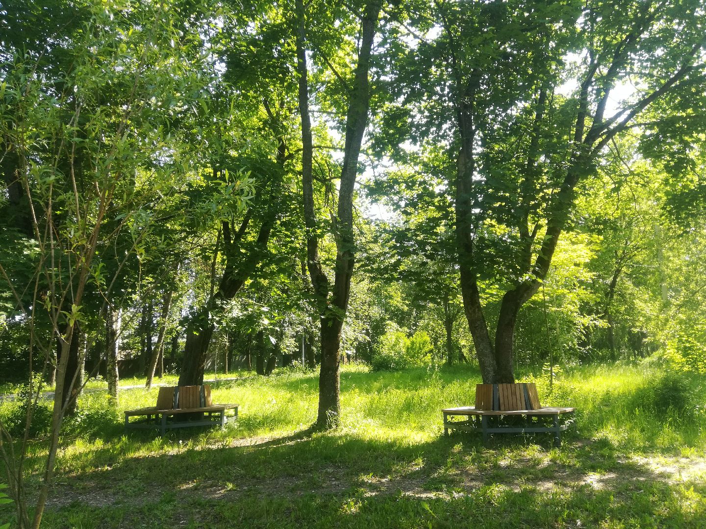 Звенигород, Верхний Посад, благоустройство, инициативная группа территориального общественного управления