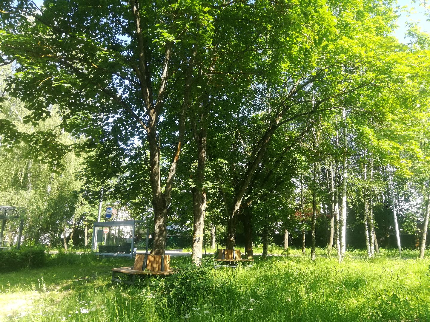 Звенигород, Верхний Посад, благоустройство, инициативная группа территориального общественного управления