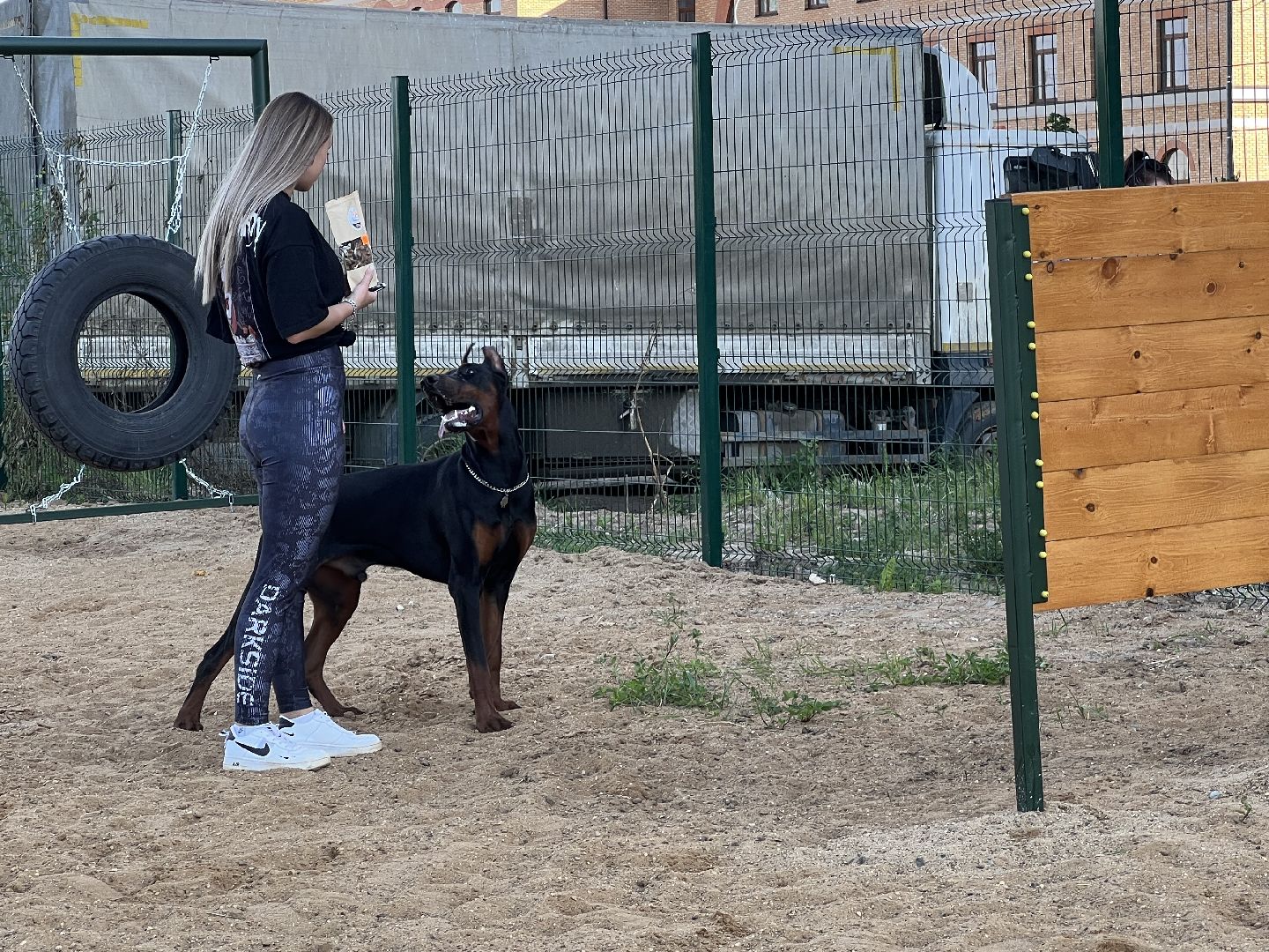 Химки, ЖК Солнечная система, благоустройство, собаки