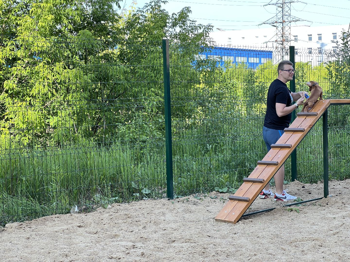Химки, ЖК Солнечная система, благоустройство, собаки