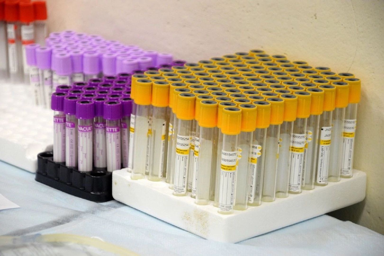 Всемирный день донора, почётный донор России, здравоохранение