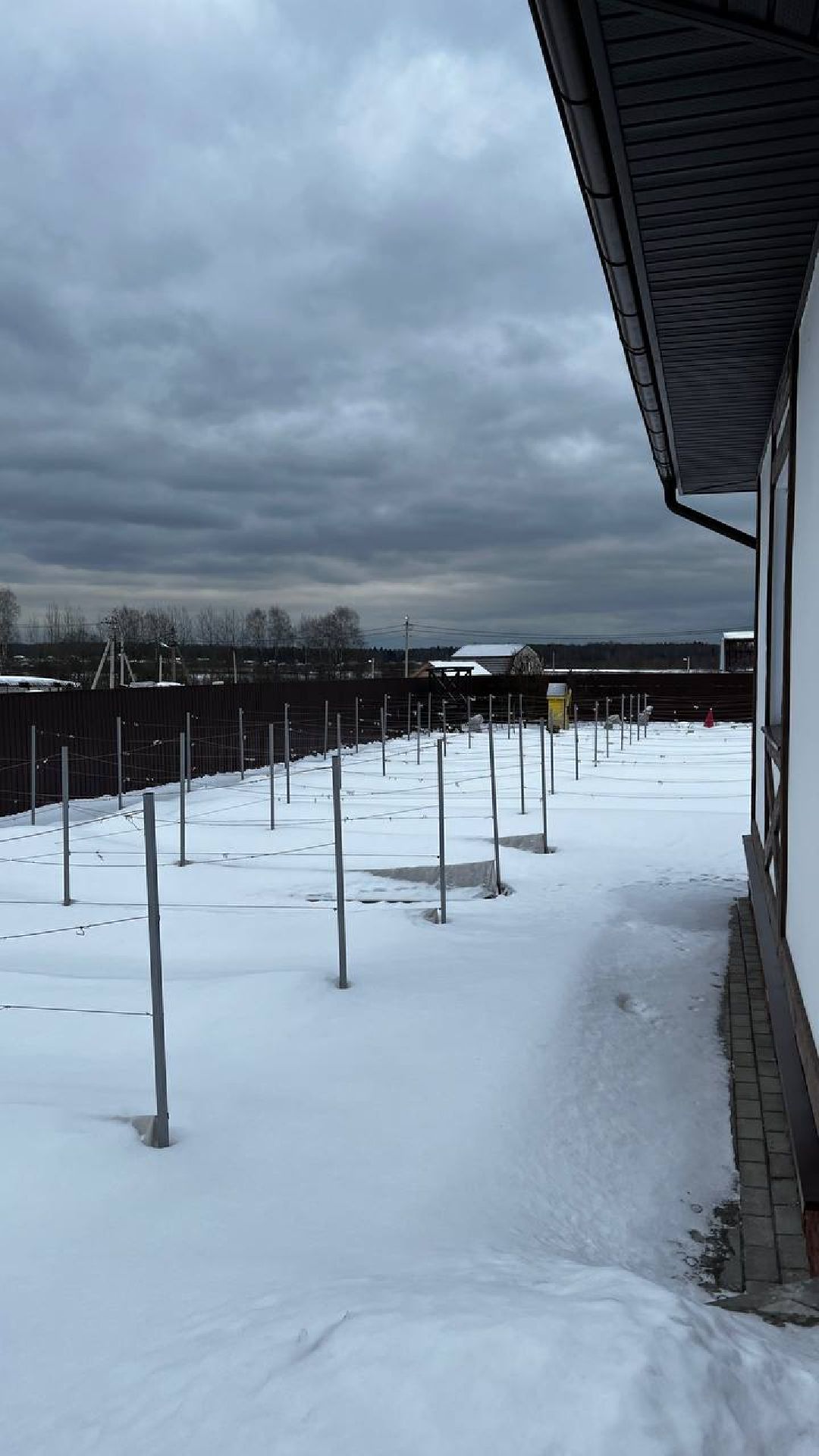 Щёлково, люди, импортозамещение