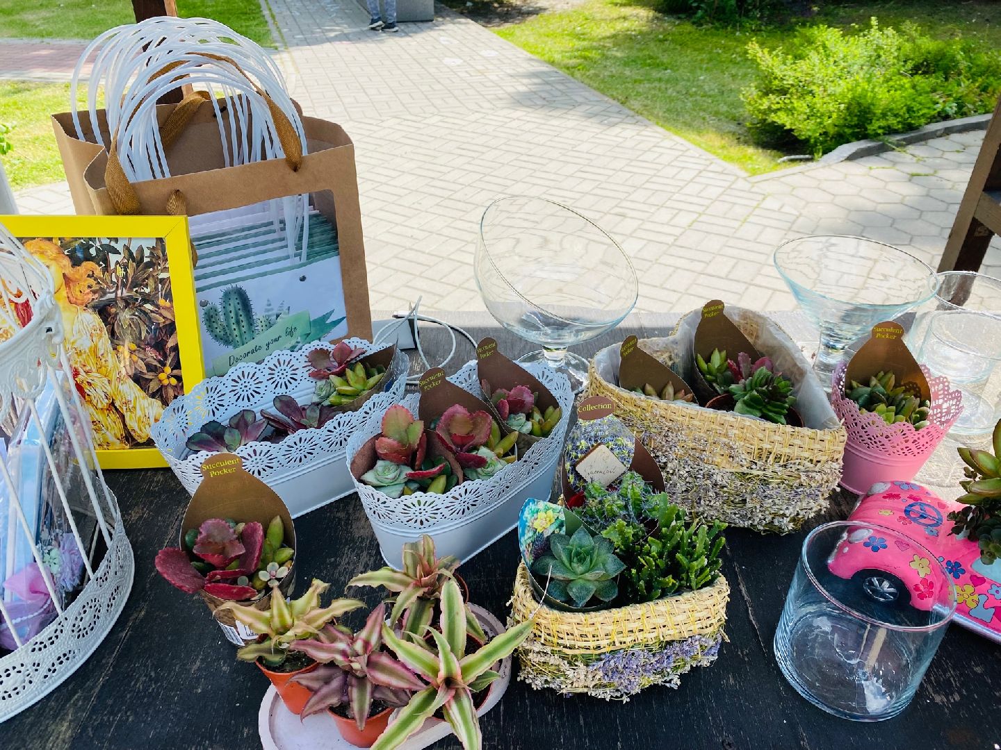 Домодедово, флористика, композиции из цветов, цветы, кактус