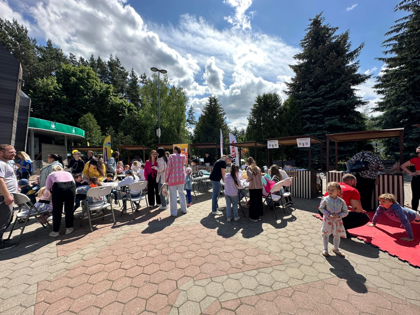 Домодедово, флористика, композиции из цветов, цветы, кактус