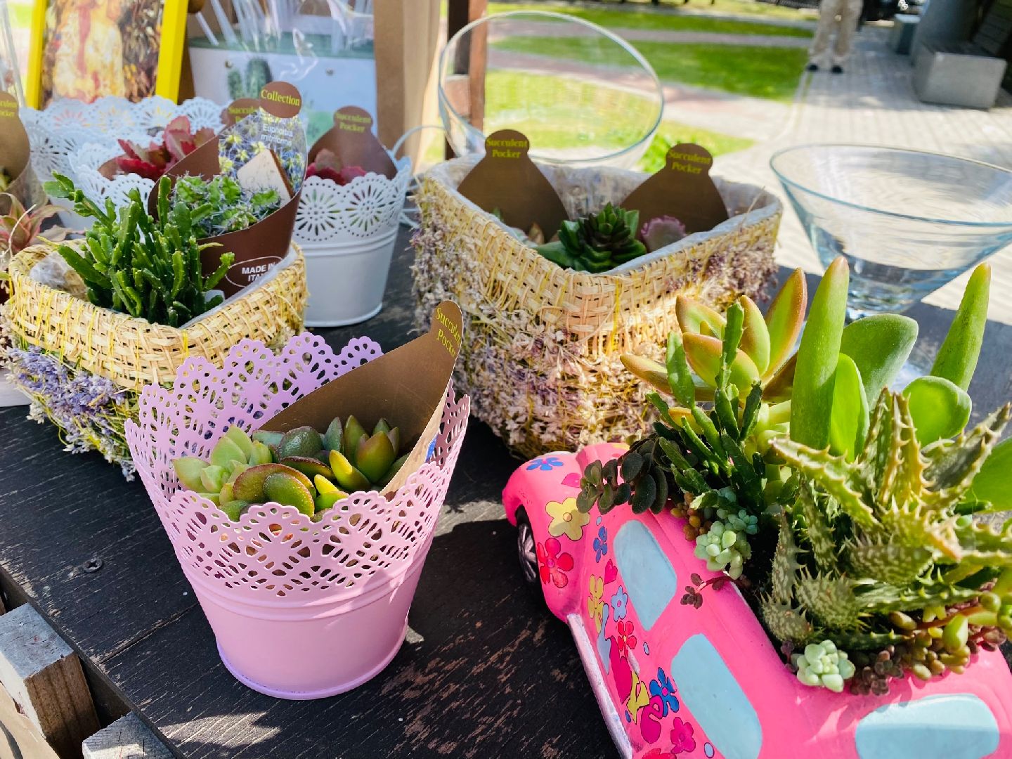 Домодедово, флористика, композиции из цветов, цветы, кактус