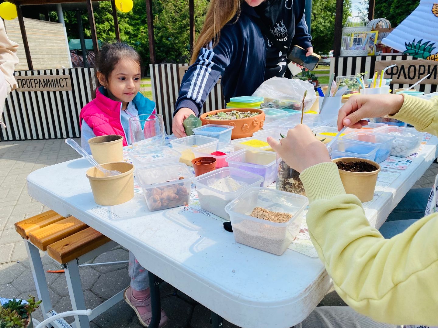 Домодедово, флористика, композиции из цветов, цветы, кактус