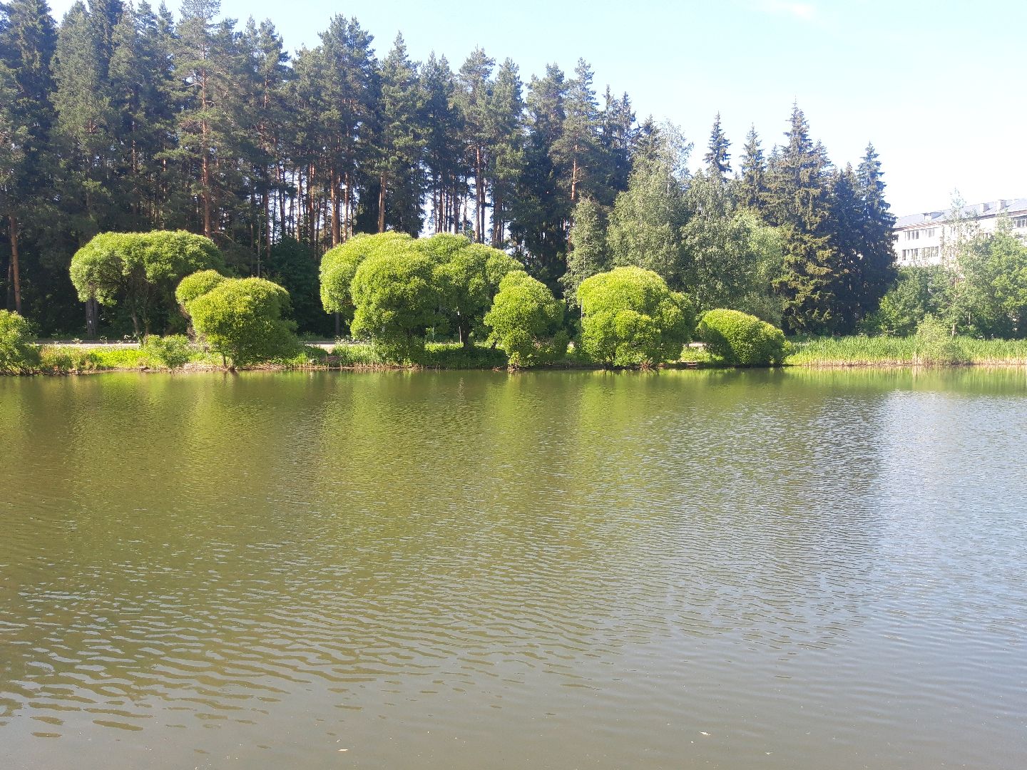 дети, искусство, доброе дело,