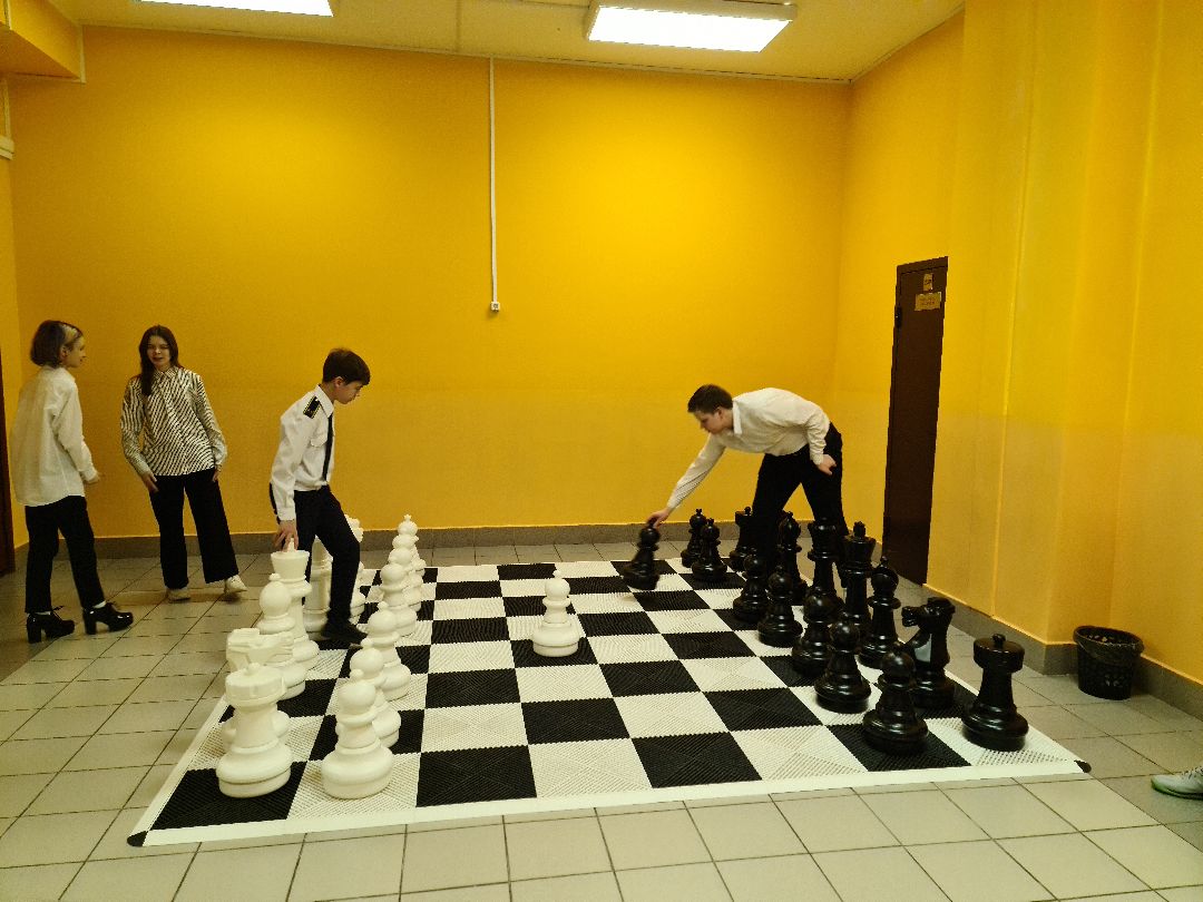 Щёлково, общество