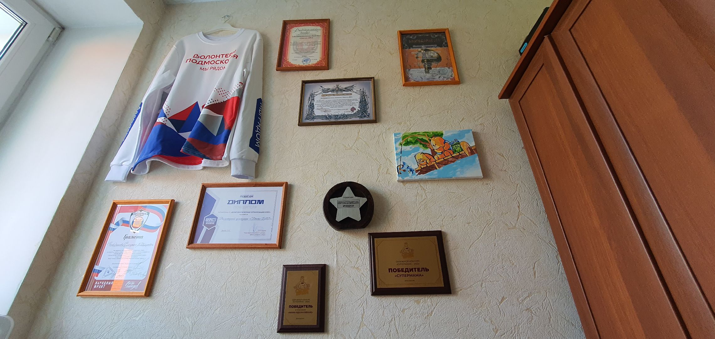 Волонтёры, Домодедово