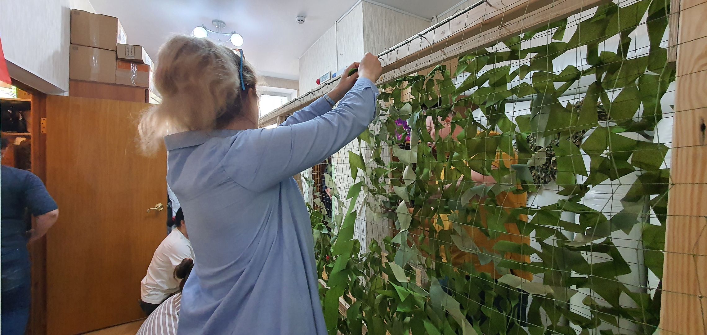 Волонтёры, Домодедово