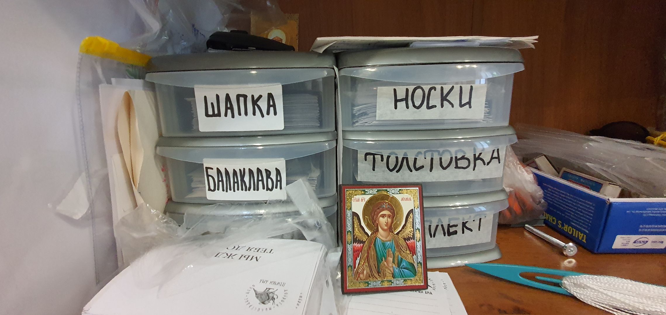 Волонтёры, Домодедово