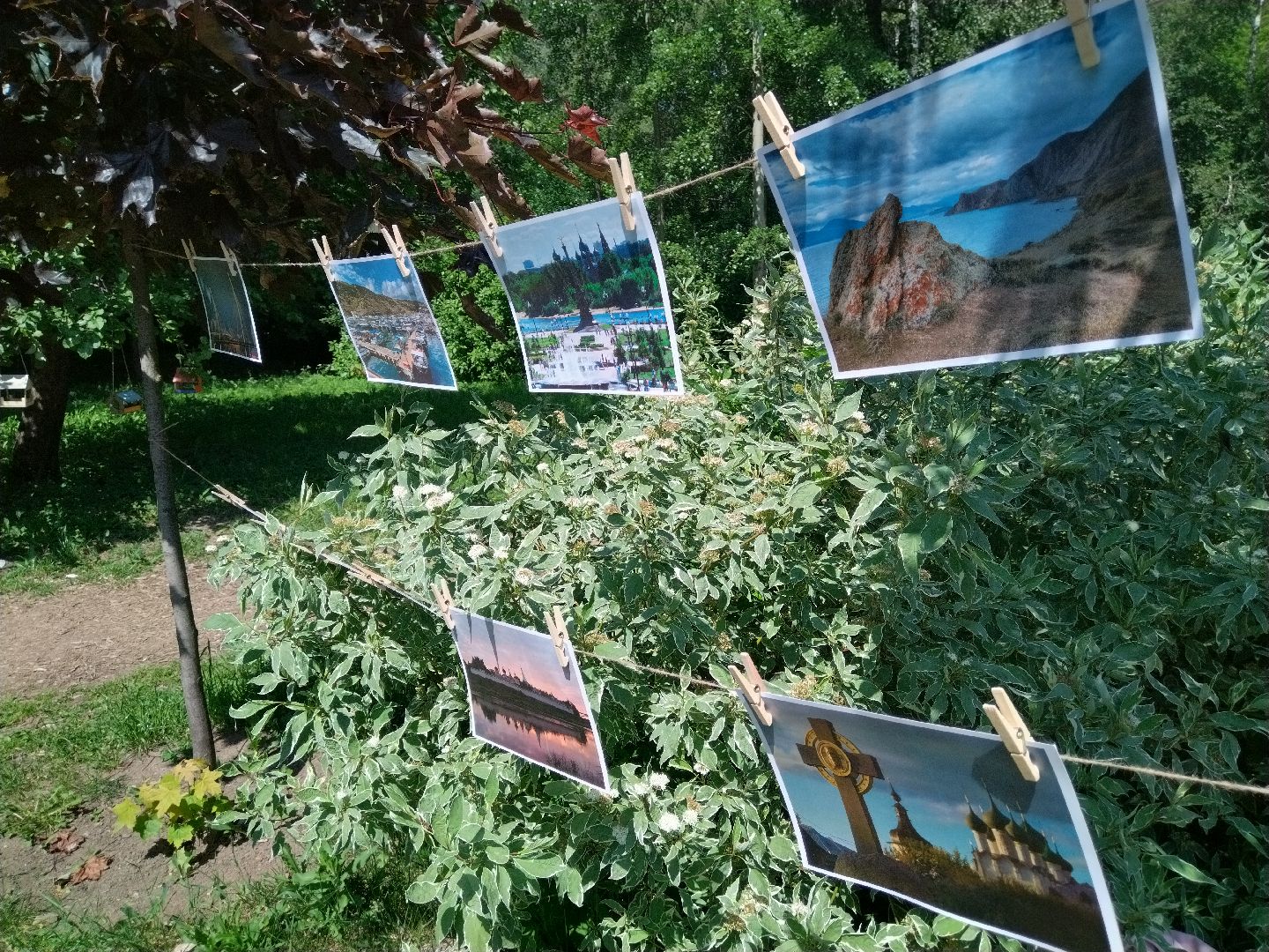 Фотосушка, Мытищи, Парк мира