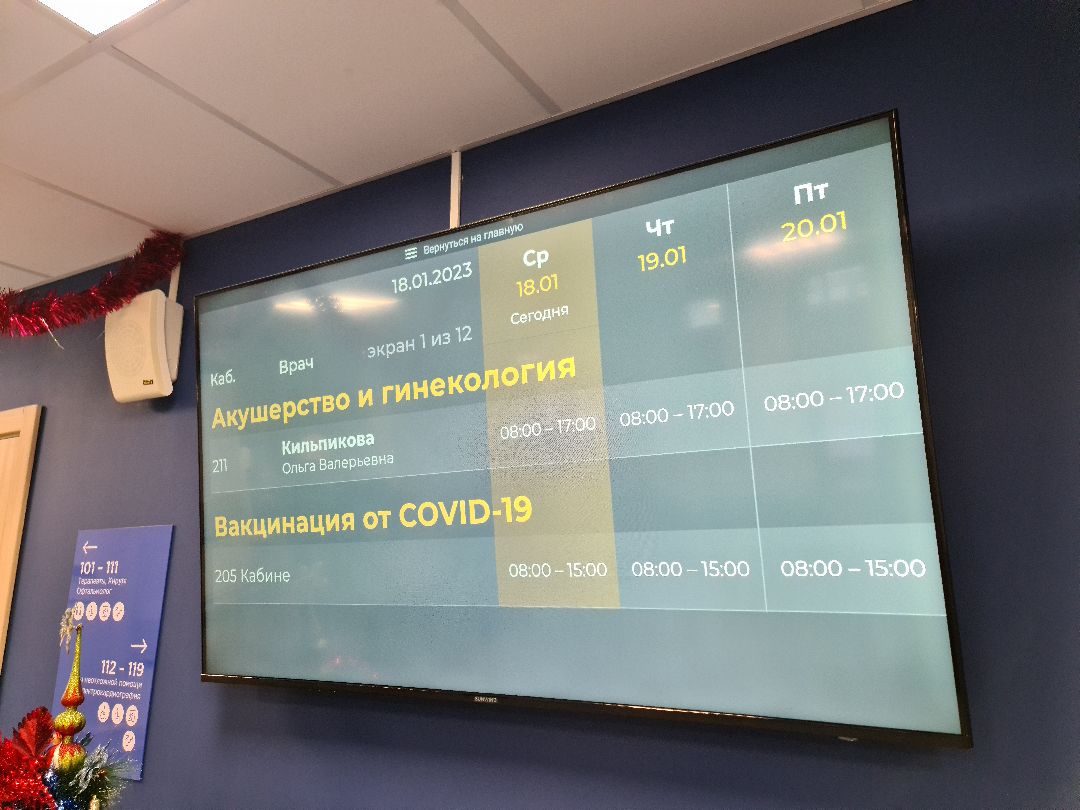 Щёлково, общество