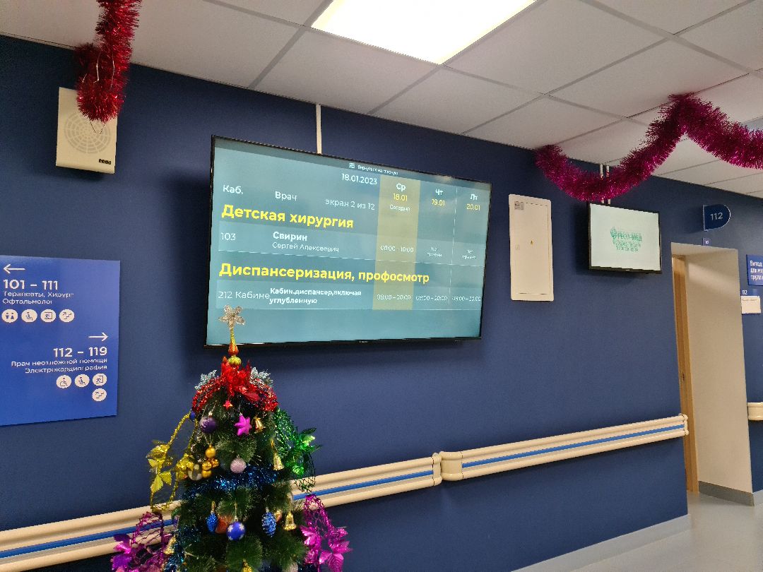 Щёлково, общество