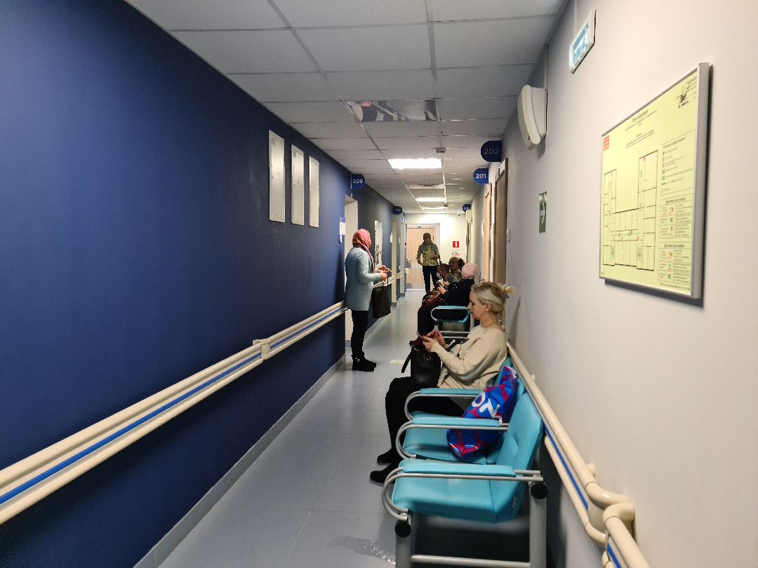 Щёлково, общество