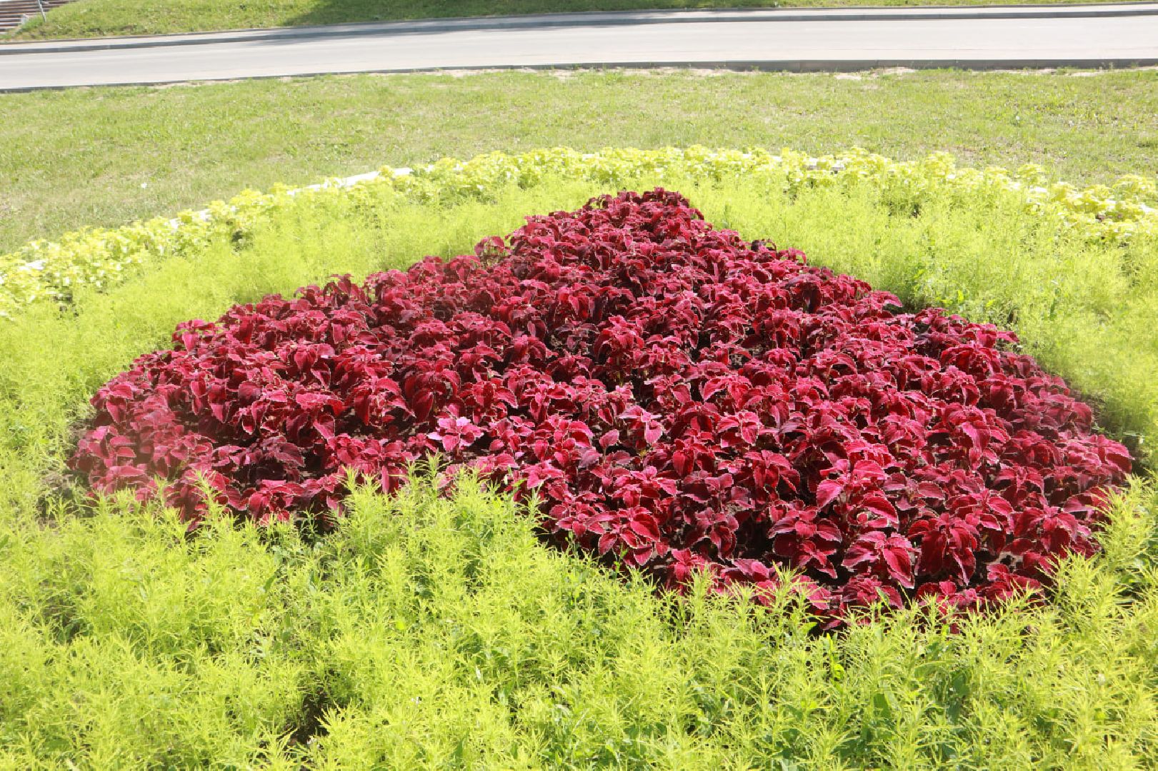 Пущино, благоустройство