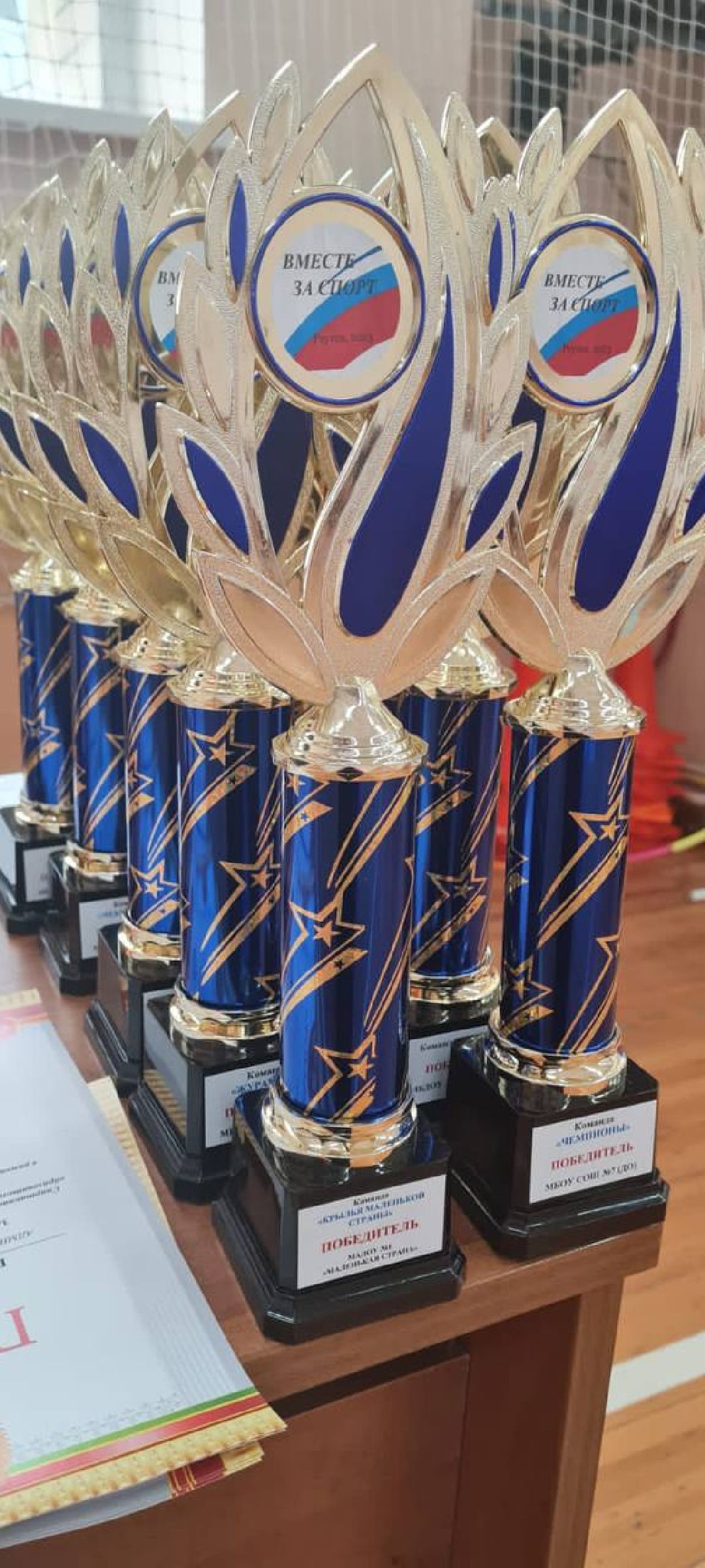 образование, спорт, дети, спартакиада, ОВЗ, Реутов, Вместе за спорт