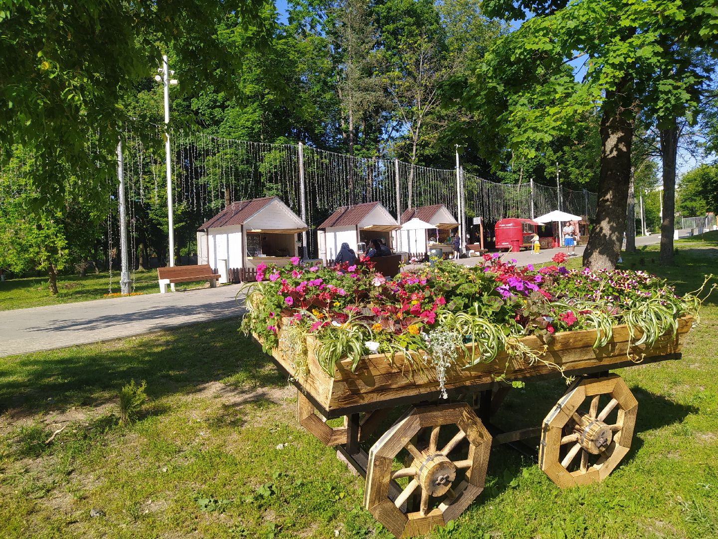 Истра, парк, фотозона, цветы