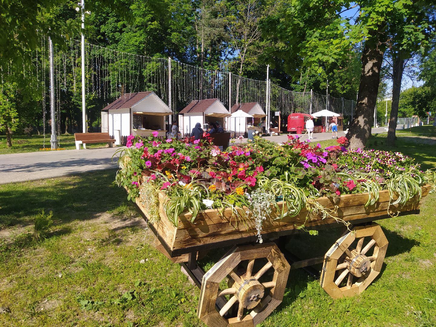 Истра, парк, фотозона, цветы