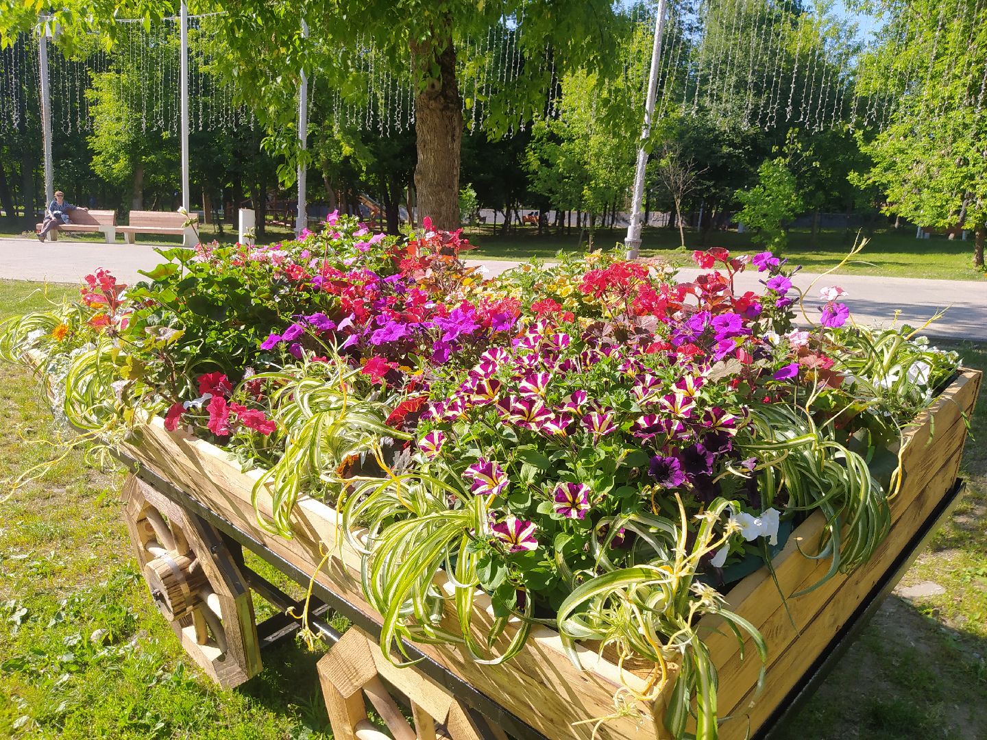 Истра, парк, фотозона, цветы